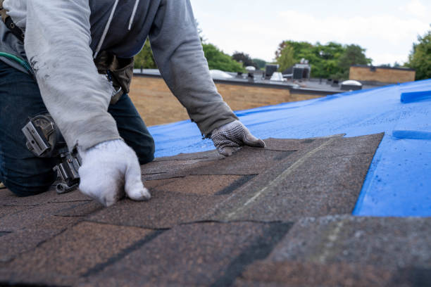 Best Roof Gutter Cleaning  in Rossville, KS