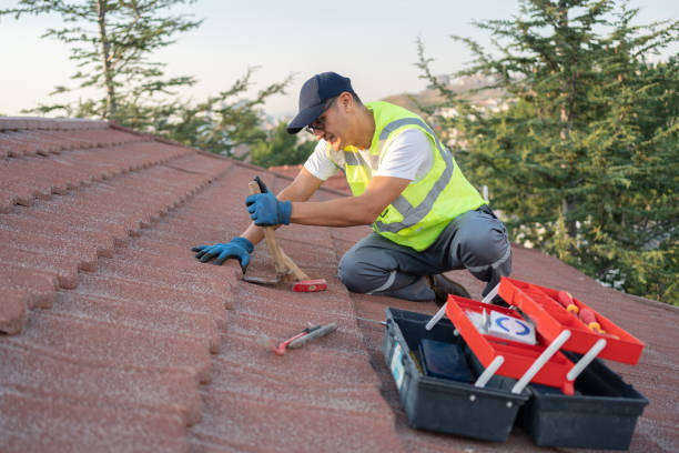 Best Roof Repair Services  in Rossville, KS